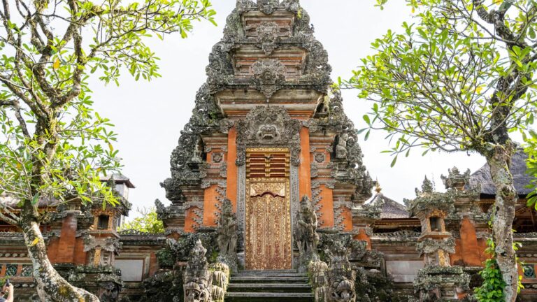 Website (6)